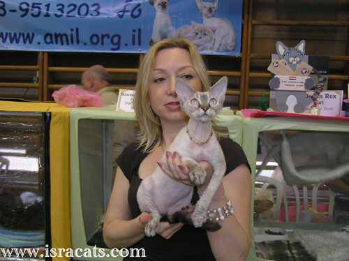 More picrures from cat shows