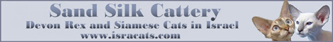 Sand Silk Cattery