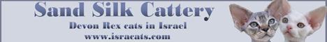 Sand Silk Cattery. Devon Rex and Siamese Cats in Israel